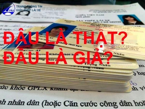 Tại sao phải tra cứu giấy phép lái xe quốc tế IAA