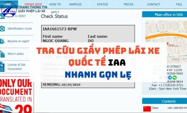 Tra Cứu (Kiểm Tra) Giấy Phép Lái Xe Quốc Tế IAA