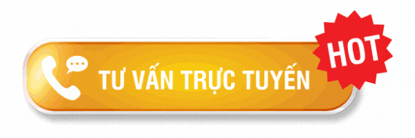 cấp lại giấy phép lái xe tại tphcm