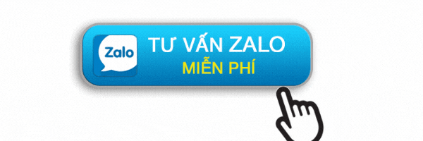 Dịch vụ cấp giấy phép lái xe