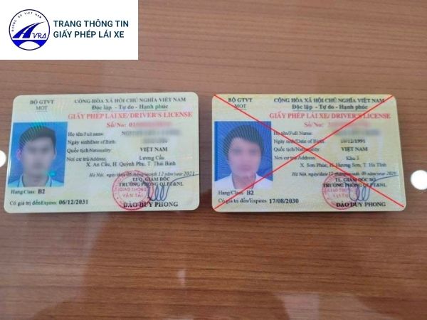 Cách nhận biết hình ảnh bằng lái xe giả