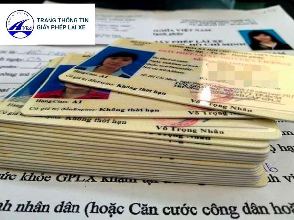 Bằng lái xe giả và thật như thế nào