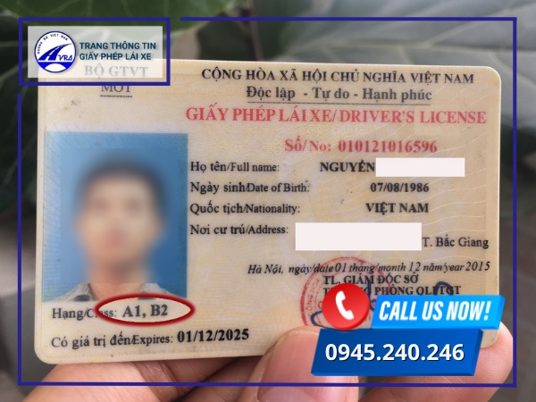 Tra cứu bằng lái bằng mắt thường