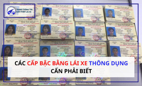 Cấp bậc bằng lái xe máy