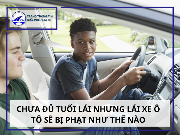 Chưa đủ tuổi lái nhưng lái xe ô tô sẽ bị phạt như thế nào