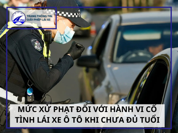 Mức xử phạt đối với hành vi cố tình lái xe ô tô khi chưa đủ tuổi