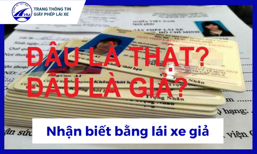 Thực trạng bằng lái xe thật giả hiện nay