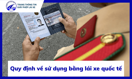 Quy định về sử dụng bằng lái xe quốc tế tại Việt Nam