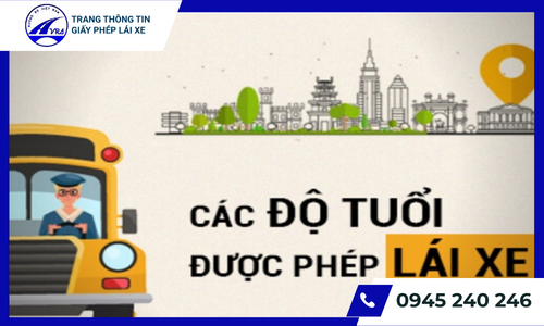 Quy định về độ tuổi tham gia học bằng lái xe ô tô hạng B