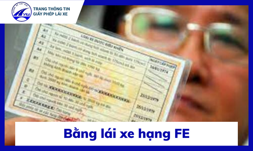Bằng lái xe FE