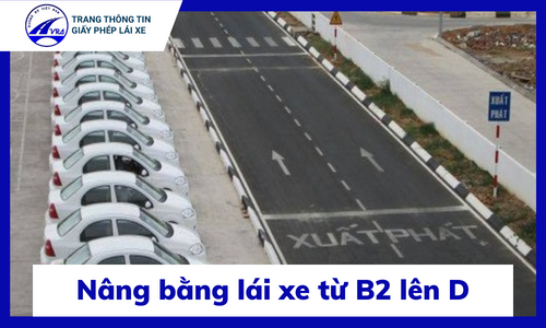 Nâng bằng B2 lên D 