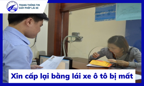 Xin cấp lại bằng lái xe ô tô bị mất nhiều lần