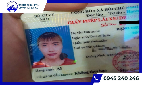 Bằng lái A1 dạng Pet 