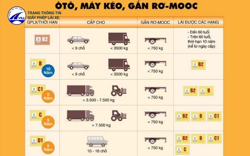 Học lái xe ô tô quận 1 trọn gói, hỗ trợ tỷ lệ đậu cao 2 Bảng tổng hợp về một số hạng bằng lái