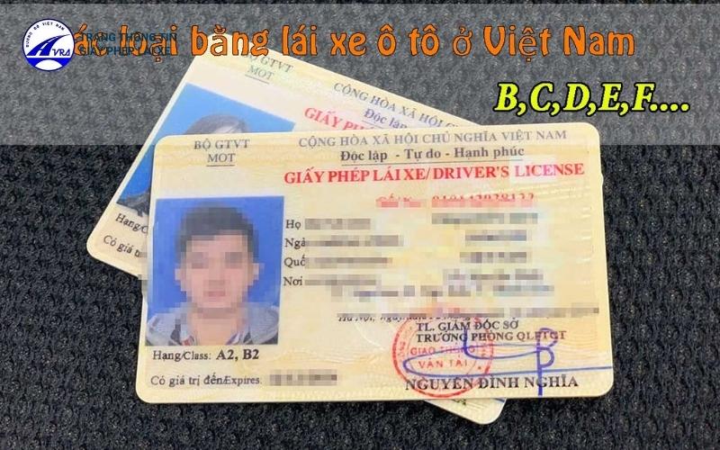 Mẫu bằng lái xe ô tô mới nhất hiện nay