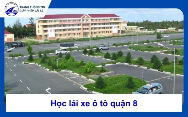 Học lái xe ô tô quận 8