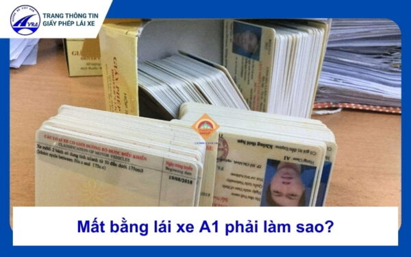 Mất bằng lái xe A1