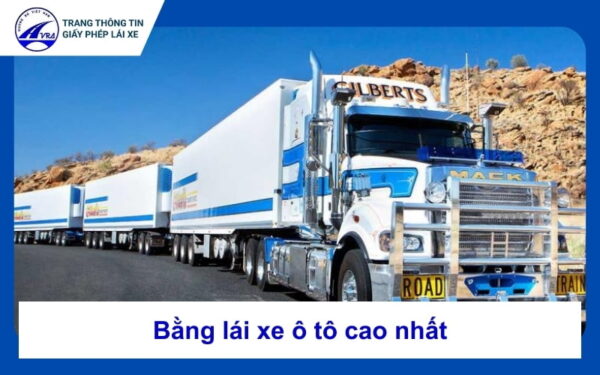 Bằng lái xe ô tô cao nhất