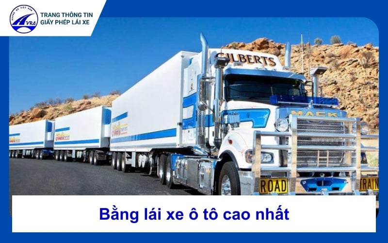 Bằng lái xe ô tô nào cao nhất tại Việt Nam? Lưu ý cần biết 1 Bằng lái xe ô tô cao nhất