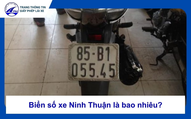 Biển số xe Ninh Thuận là bao nhiêu? Cập nhật mới nhất 2024 1 Biển số xe Ninh Thuận