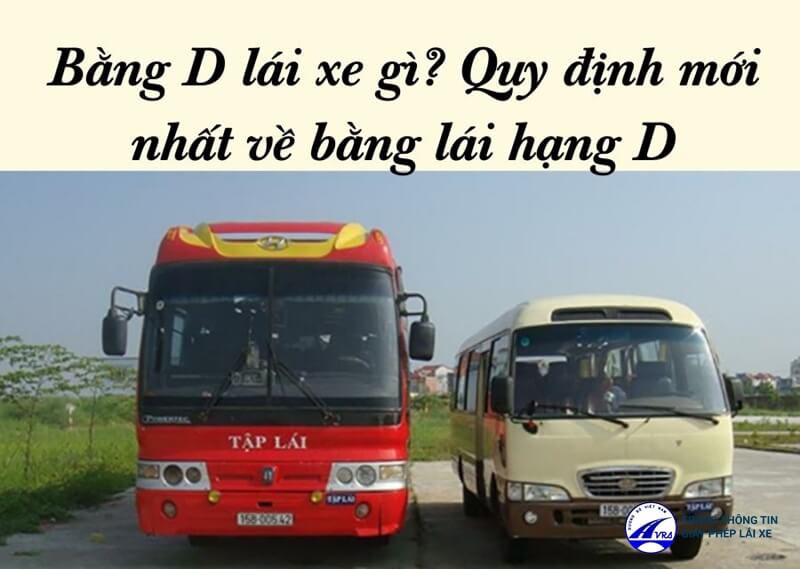 Bằng D lái xe gì