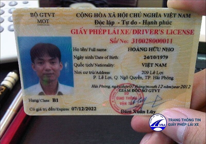Bằng lái xe B1 chạy được xe gì