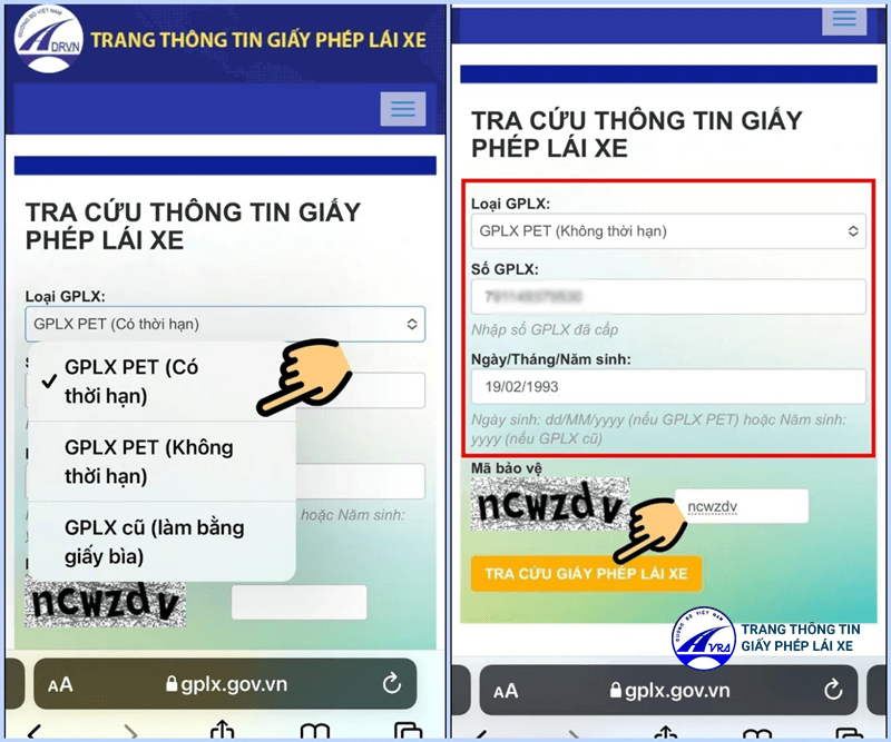 Tra cứu giấy phép lái xe