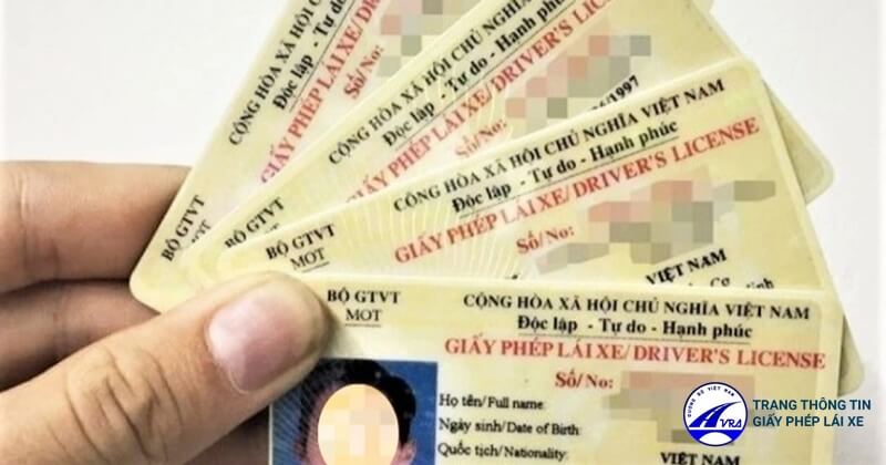 Tra cứu giấy phép lái xe đơn giản
