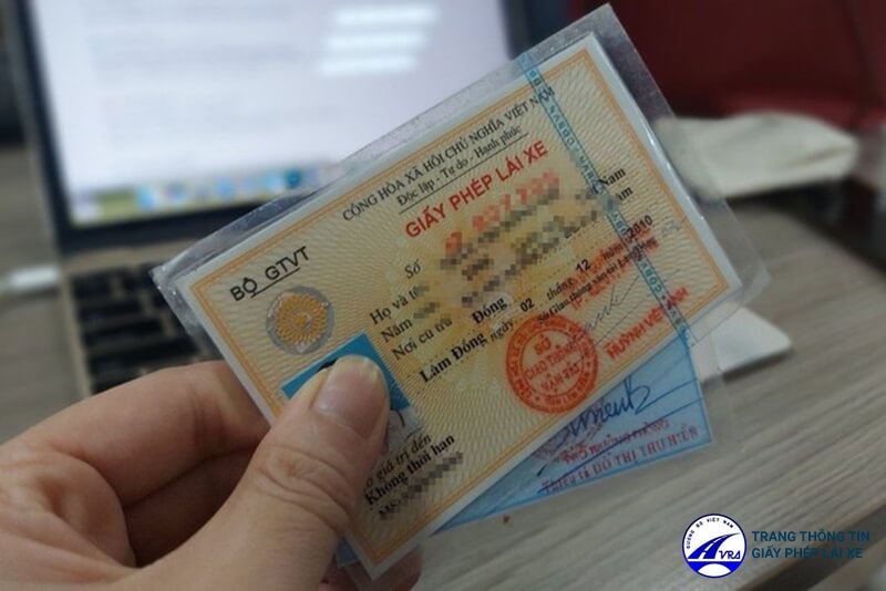 Tra cứu giấy phép lái xe SMS